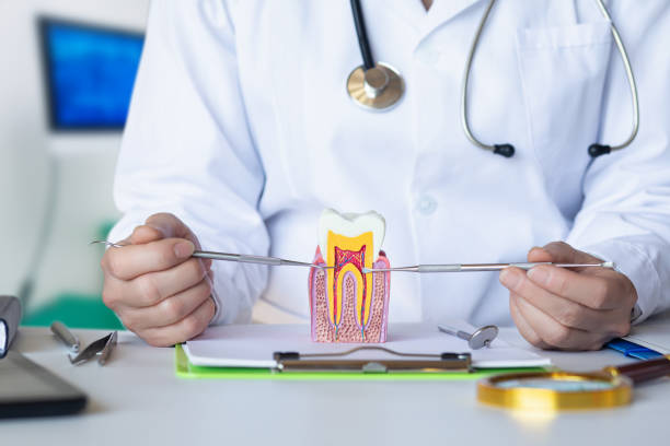 Best Emergency Dental Care for Broken or Chipped Teeth in London, CA